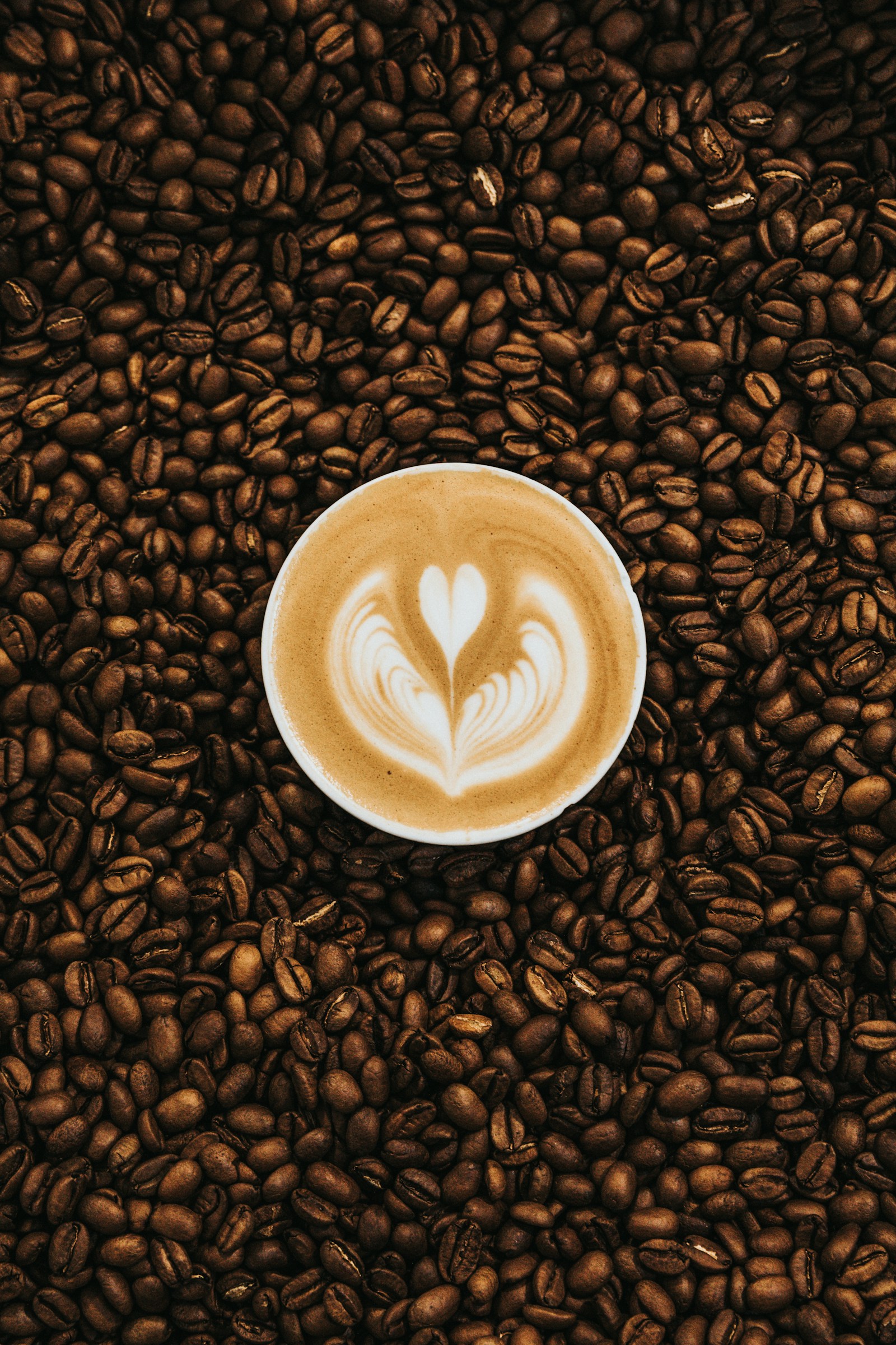 Tách latte với hình trái tim trên lớp bọt sữa, bao quanh bởi hạt cà phê
